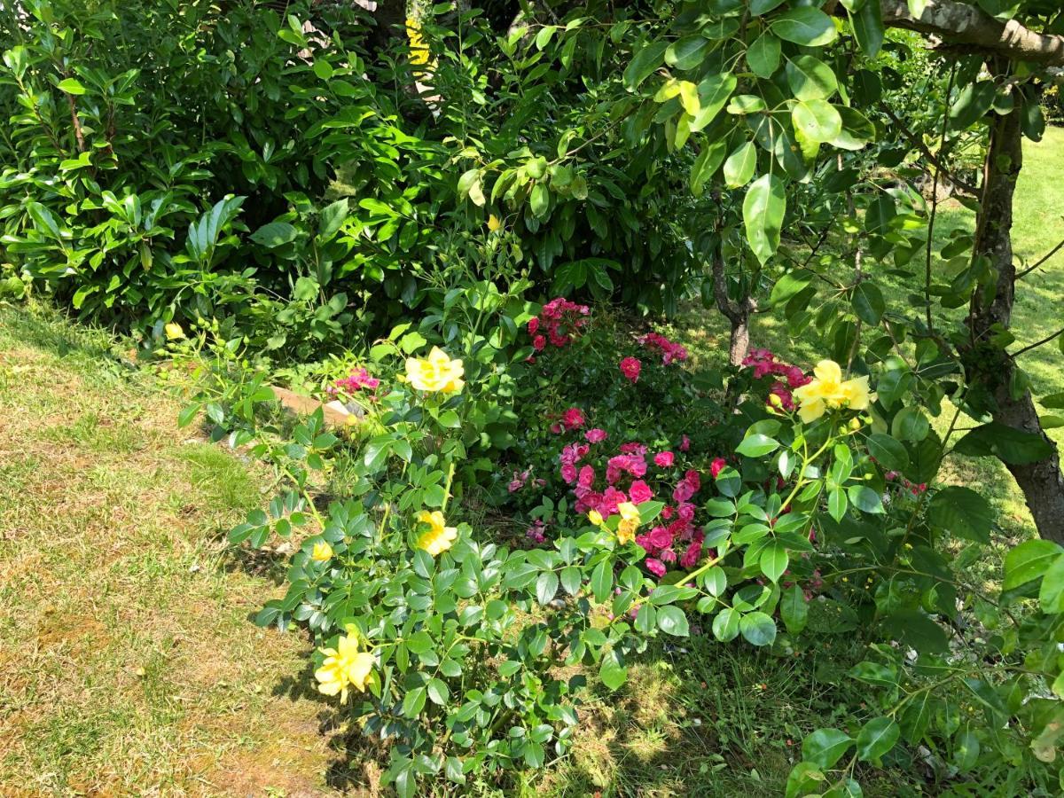 Holiday home La Maison D'olivier